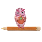 TEACHER OWL